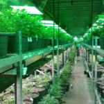indoor