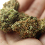 marihuana